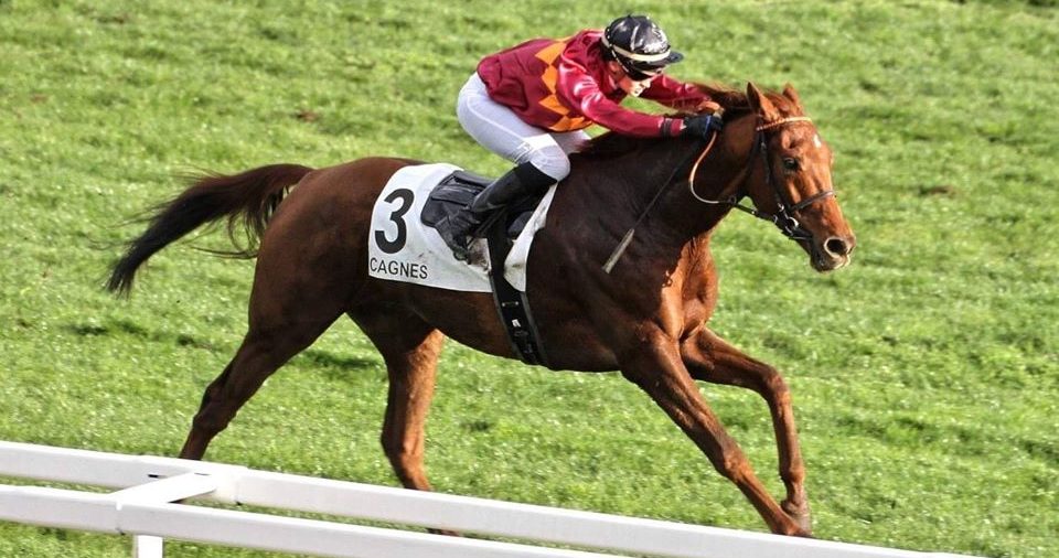 Blog - Gallop France